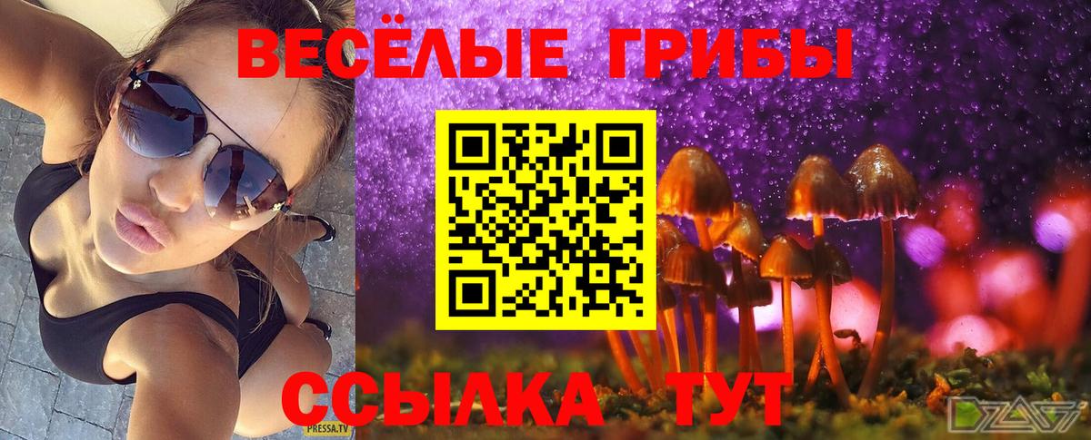 Галлюциногенные грибы GOLDEN TEACHER Богородск